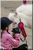 4H-State-2010_0596.jpg
