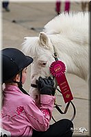 4H-State-2010_0598.jpg