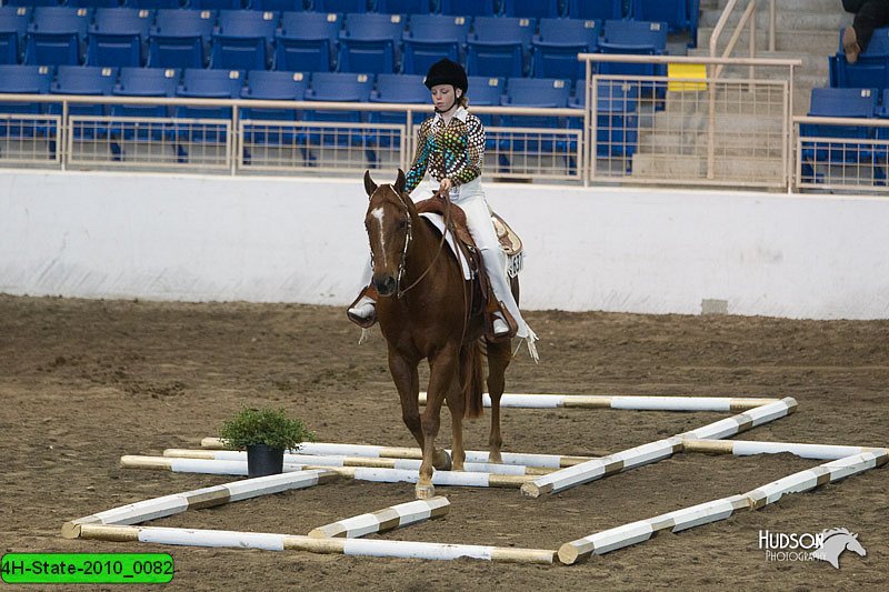 4H-State-2010_0082.jpg