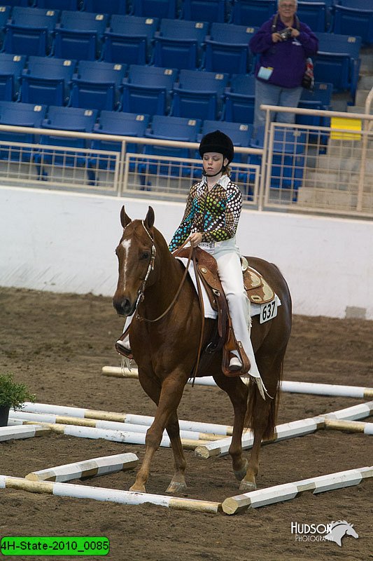 4H-State-2010_0085.jpg