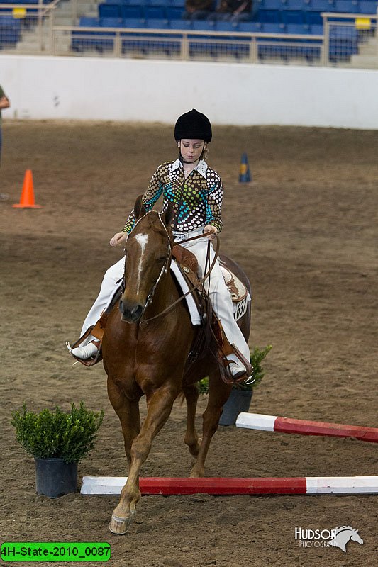 4H-State-2010_0087.jpg