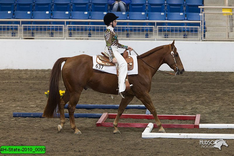4H-State-2010_0093.jpg