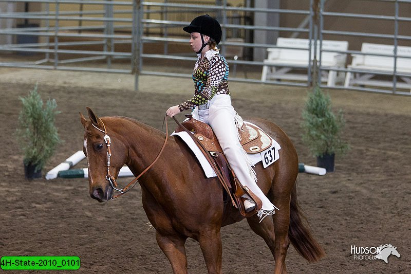 4H-State-2010_0101.jpg