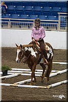 4H-State-2010_0056.jpg