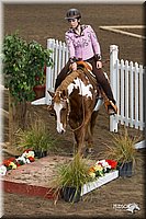 4H-State-2010_0069.jpg