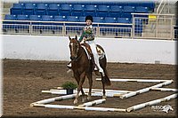 4H-State-2010_0083.jpg