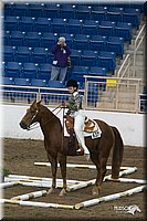 4H-State-2010_0084.jpg