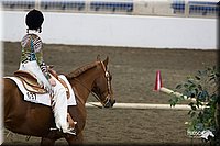 4H-State-2010_0096.jpg