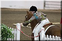 4H-State-2010_0102.jpg
