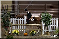 4H-State-2010_0110.jpg