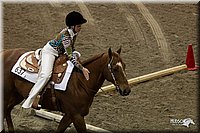 4H-State-2010_0119.jpg