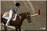 4H-State-2010_0120.jpg