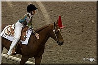 4H-State-2010_0122.jpg