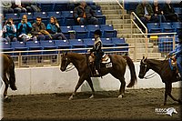 4H-State-2010_0920.jpg