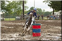 4H-1st-Show-11_0389.jpg