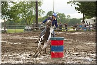 4H-1st-Show-11_0389.jpg