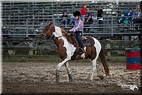 4H-1st-Show-11_0522.jpg