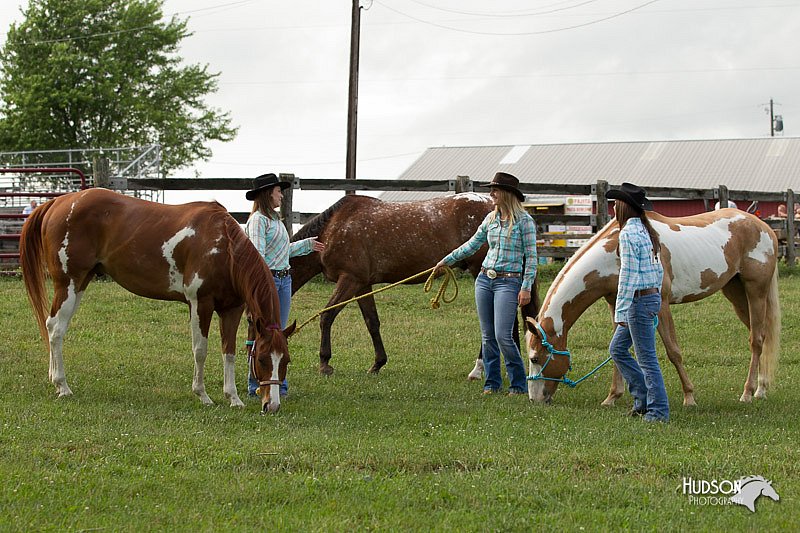 4H-1st-Show-11_0011.jpg