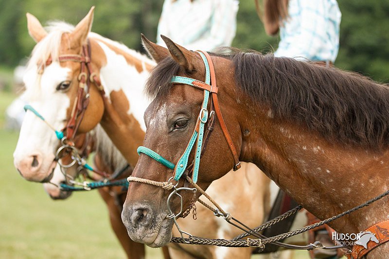 4H-1st-Show-11_0431.jpg