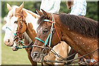 4H-1st-Show-11_0431.jpg