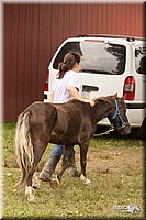 4H-1st-Show-11_1906.jpg