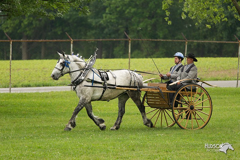 4H-1st-Show-11_0967.jpg