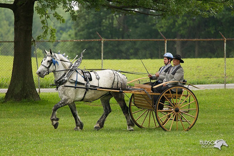 4H-1st-Show-11_0968.jpg