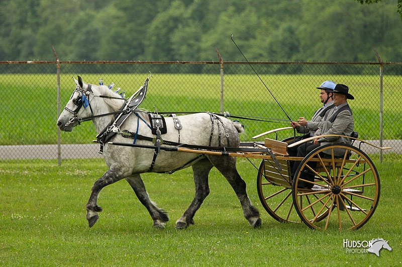 4H-1st-Show-11_0970.jpg