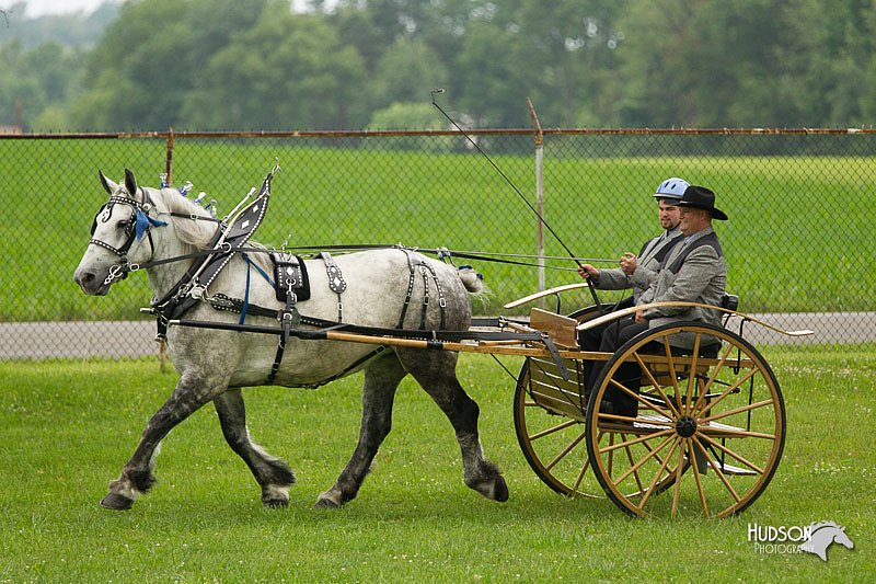 4H-1st-Show-11_0971.jpg