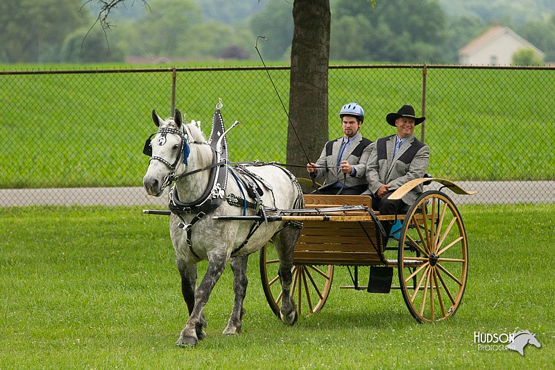 4H-1st-Show-11_0972.jpg