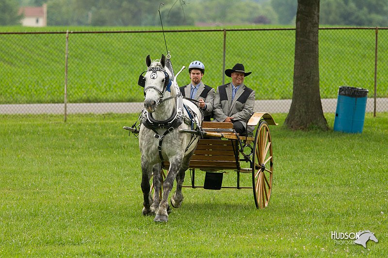 4H-1st-Show-11_0973.jpg