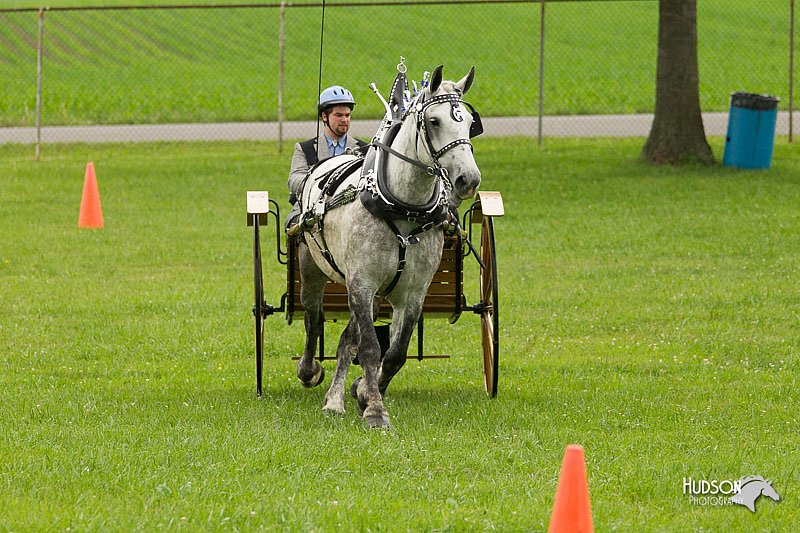 4H-1st-Show-11_0974.jpg