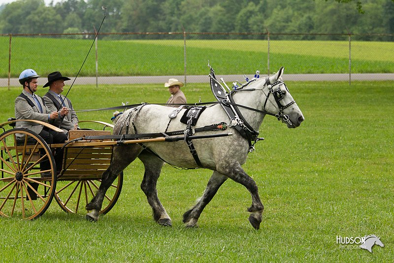 4H-1st-Show-11_0977.jpg