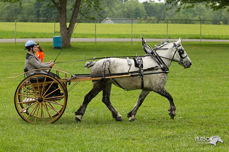 4H-1st-Show-11_0978.jpg