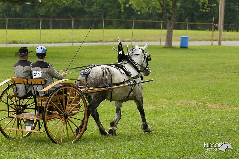 4H-1st-Show-11_0979.jpg