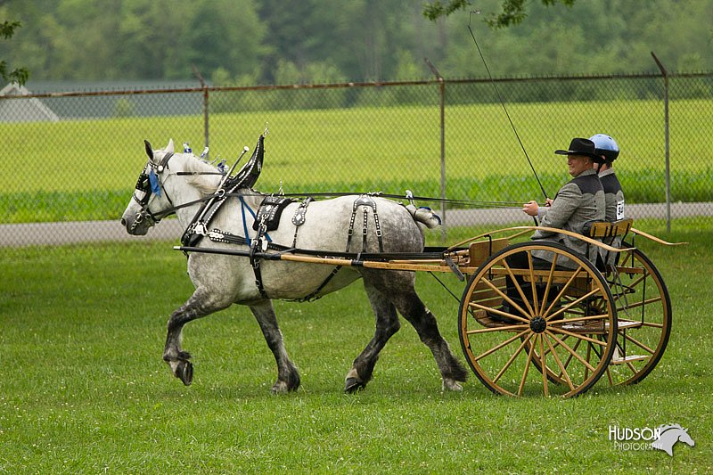 4H-1st-Show-11_0980.jpg