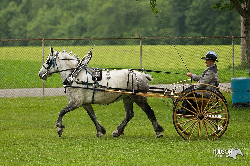 4H-1st-Show-11_0981.jpg