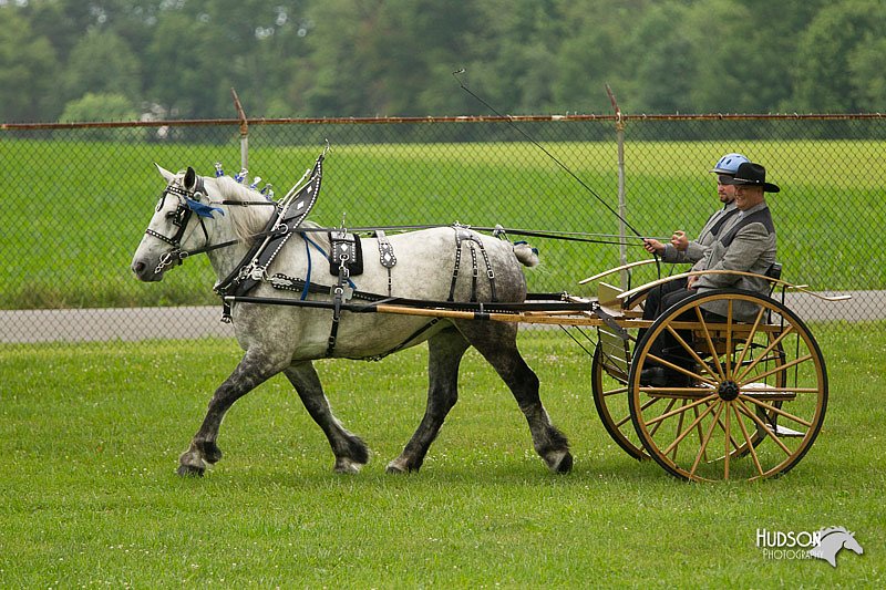 4H-1st-Show-11_0982.jpg