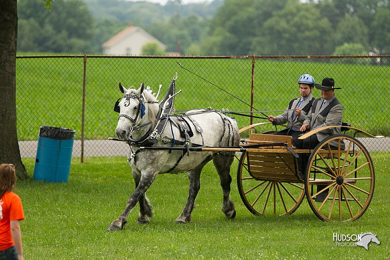 4H-1st-Show-11_0983.jpg