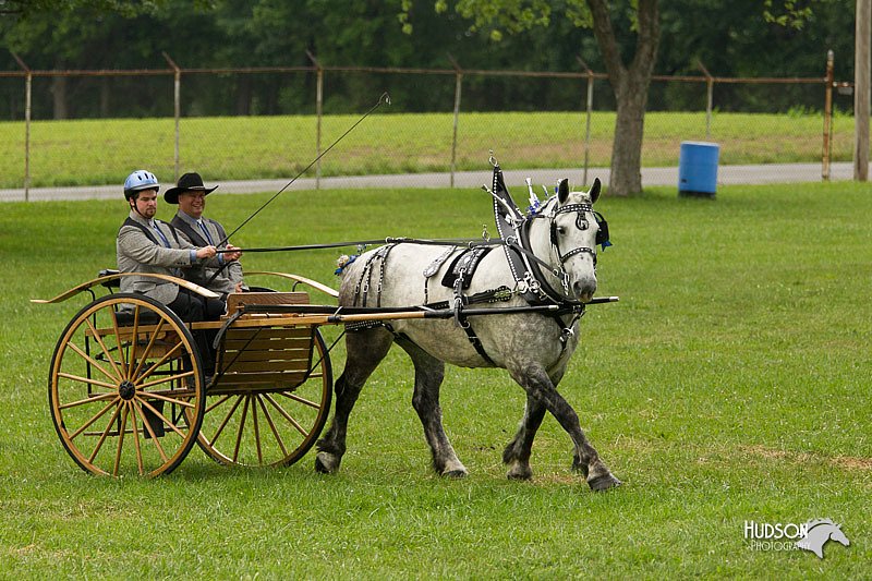 4H-1st-Show-11_0984.jpg