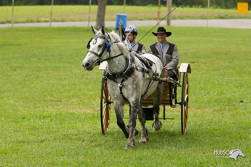 4H-1st-Show-11_0985.jpg