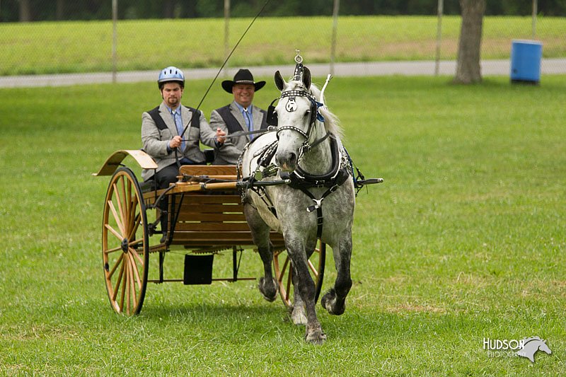 4H-1st-Show-11_0988.jpg