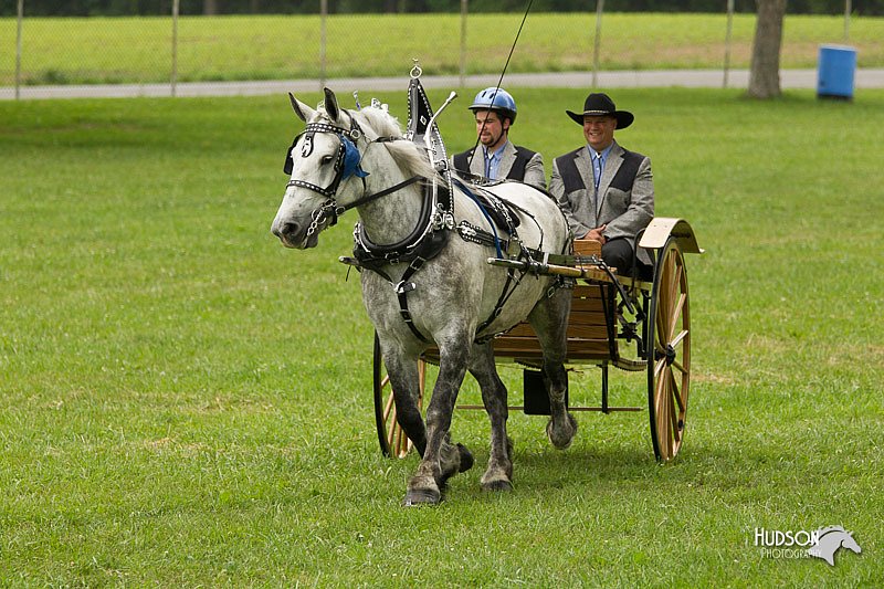 4H-1st-Show-11_0989.jpg