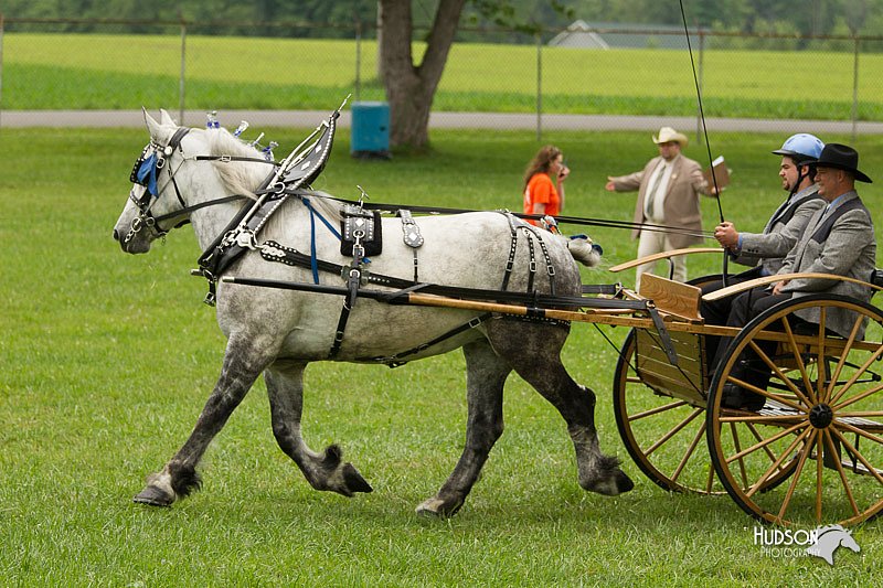 4H-1st-Show-11_0990.jpg
