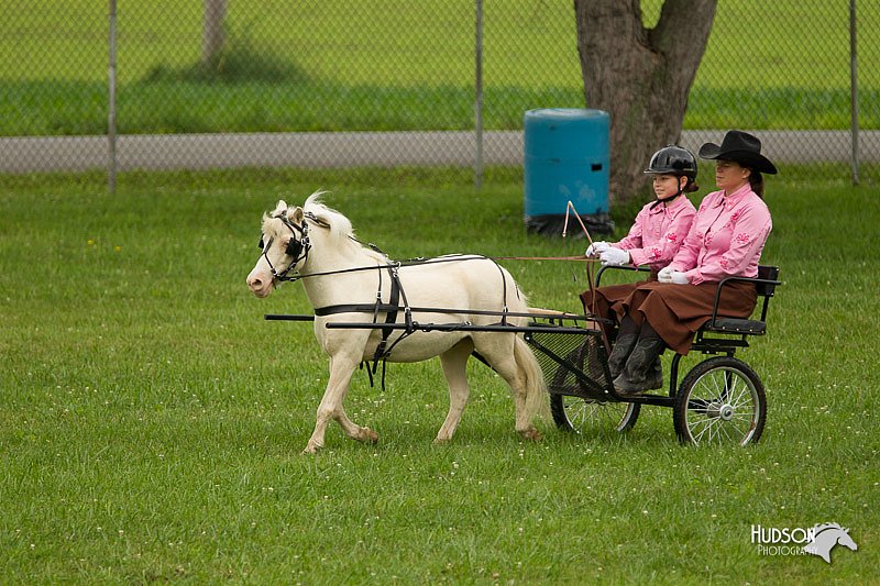 4H-1st-Show-11_0991.jpg