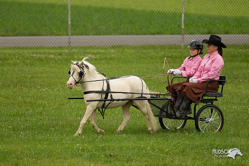 4H-1st-Show-11_0992.jpg