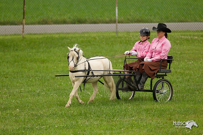 4H-1st-Show-11_0993.jpg