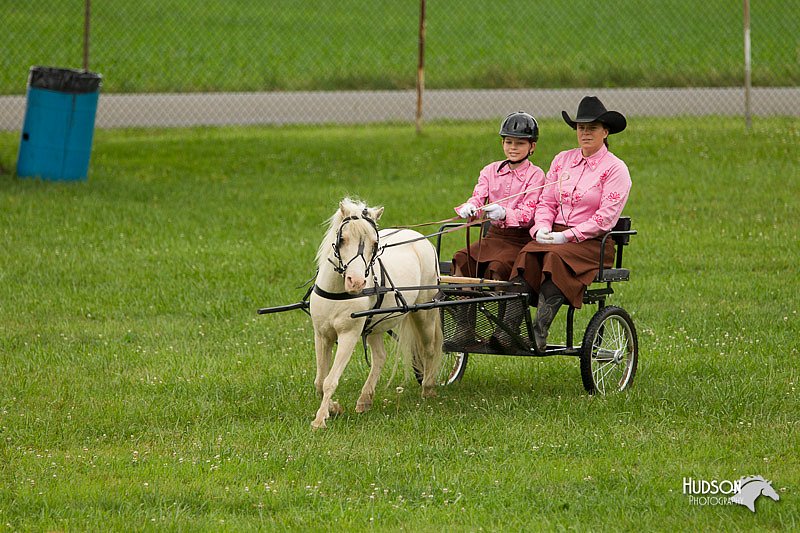 4H-1st-Show-11_0994.jpg