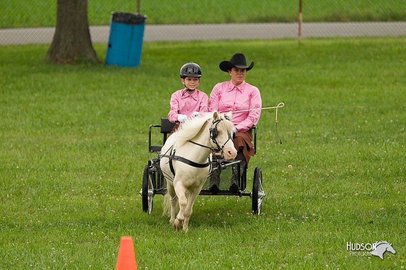 4H-1st-Show-11_0995.jpg
