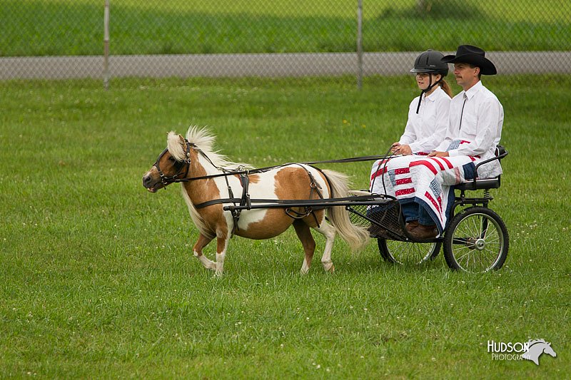 4H-1st-Show-11_0997.jpg